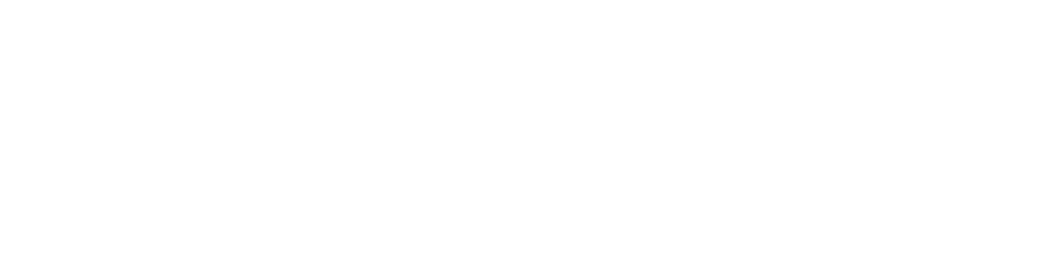 Softweb Group